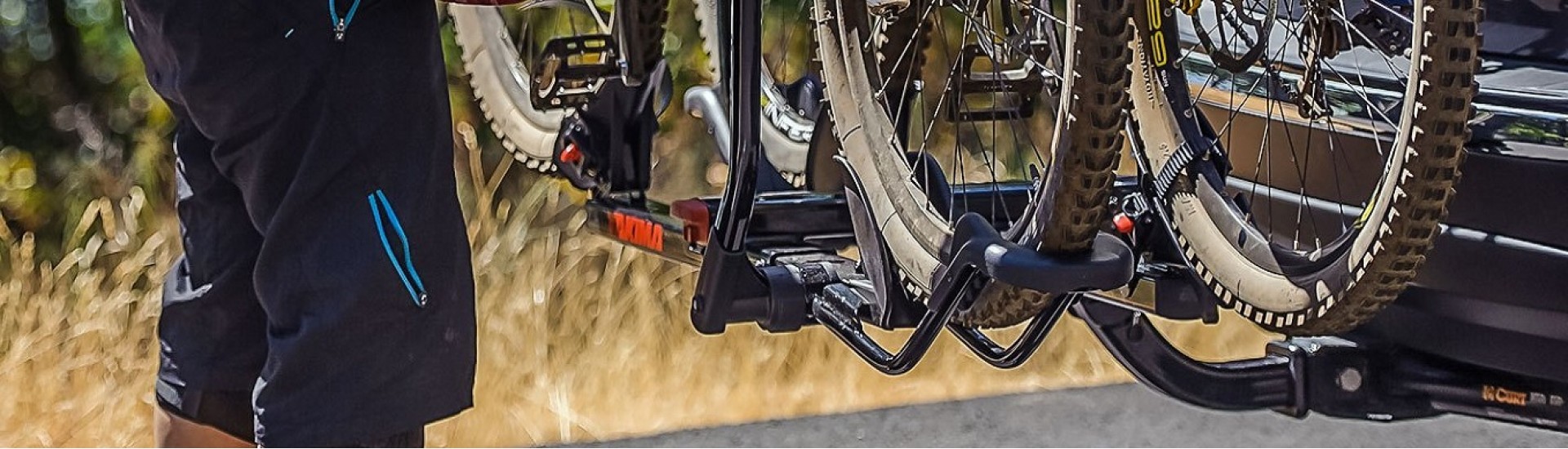 نگهدارنده دوچرخه لکسوس RX 2012 